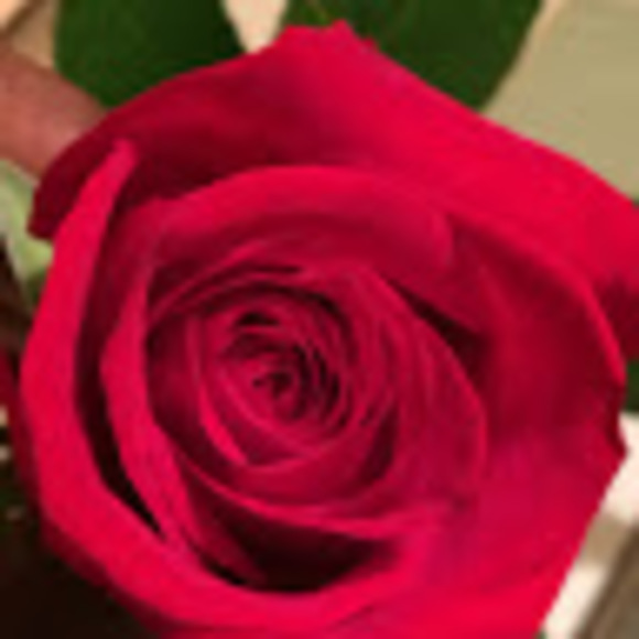 Meet your Posher, Jazmine - Picture 1 of 1